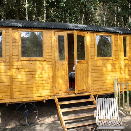 Pike'S Cabin In The Woods Hebden Bridge Εξωτερικό φωτογραφία